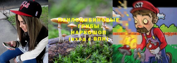 стафф Алексин