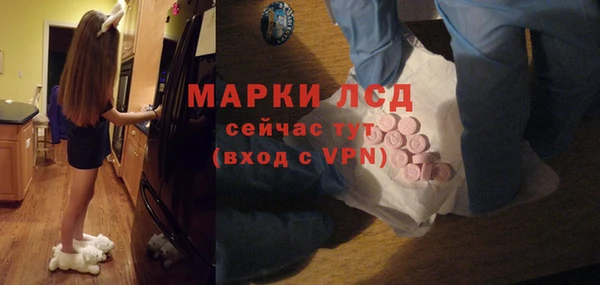 стафф Алексин