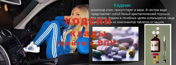 стафф Алексин